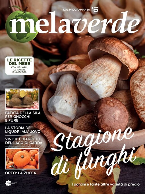 Title details for Melaverde by RTI spa - Available